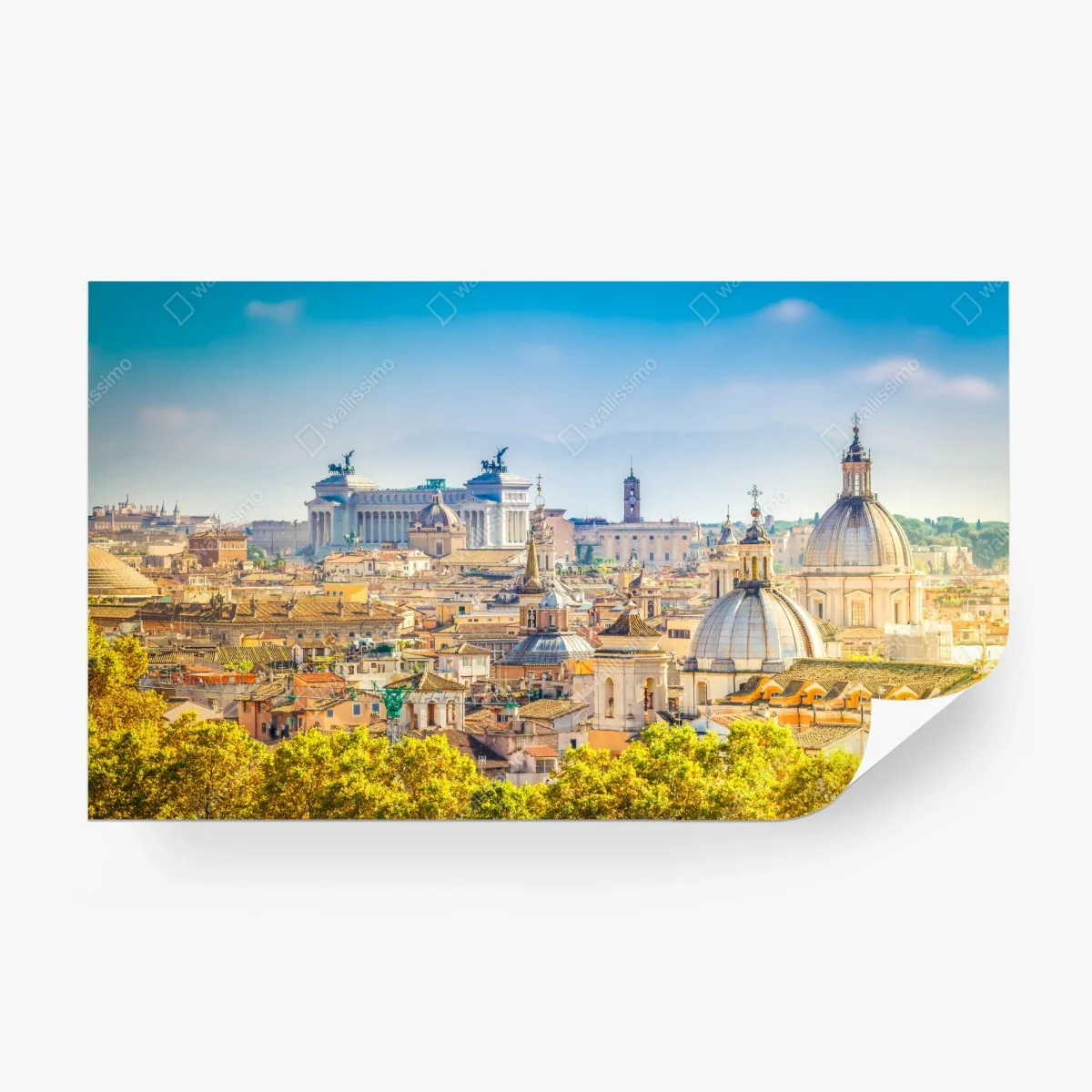 Fotomural panorama urbano de Roma con cúpulas clásicas – Pixers® Fotomural panorama urbano de Roma con cúpulas clásicas – Pixers®