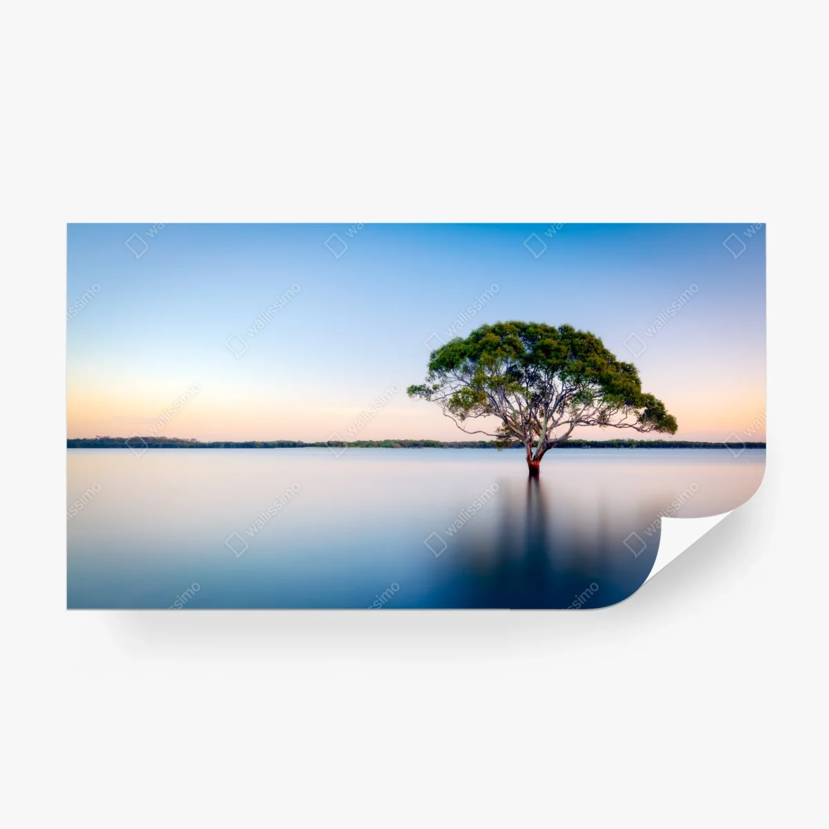 Fotomural árbol solitario sobre agua en tonos pastel – Pixers®