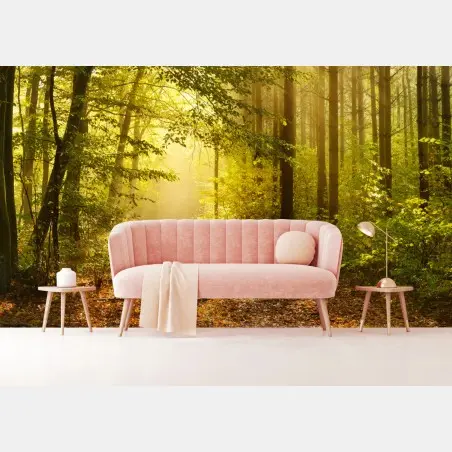 Fotomural sendero dorado en el bosque – Pixers®
