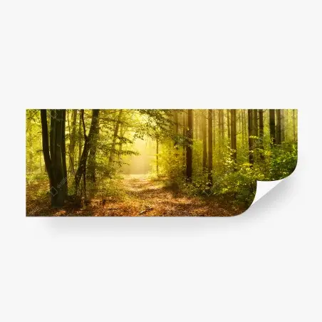 Fotomural sendero dorado en el bosque – Pixers®