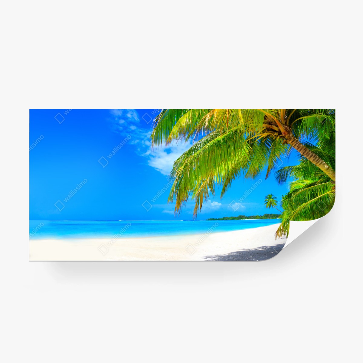 Fotomural paraíso tropical con palmeras y playa de arena blanca – Pixers®