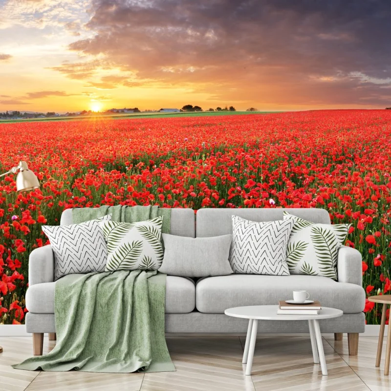Fotomural atardecer sobre campo de amapolas