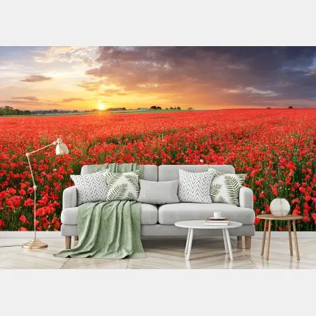 Fotomural atardecer sobre campo de amapolas – Pixers®
