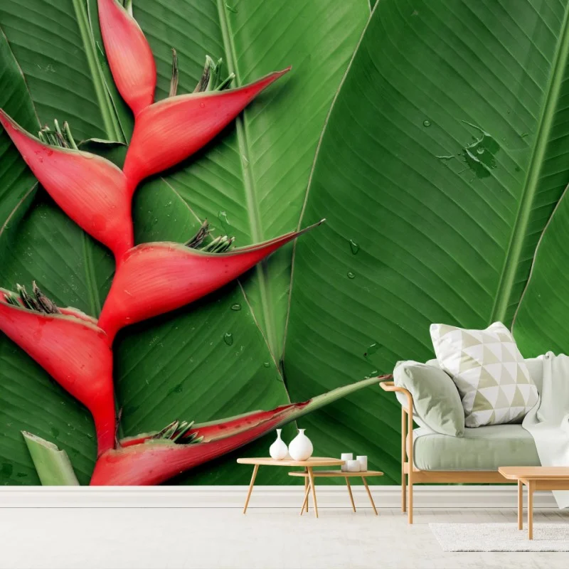 Fotomural heliconia roja sobre hojas tropicales