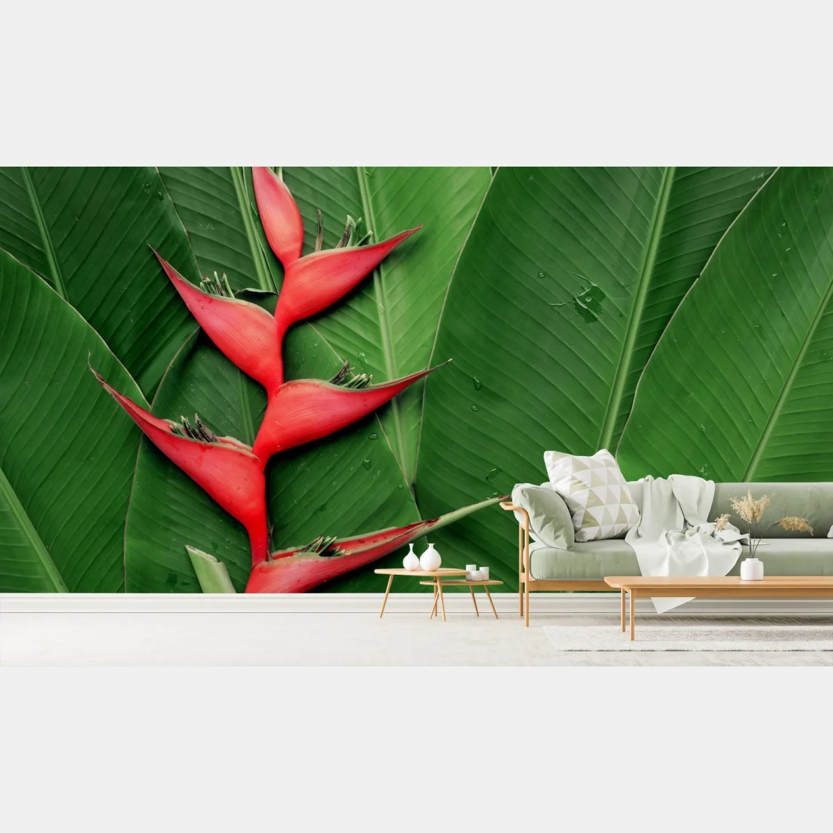 Fotomural heliconia roja sobre hojas tropicales – Pixers® Fotomural heliconia roja sobre hojas tropicales – Pixers®
