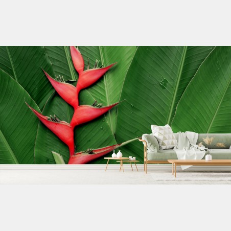 Fotomural heliconia roja sobre hojas tropicales – Pixers®