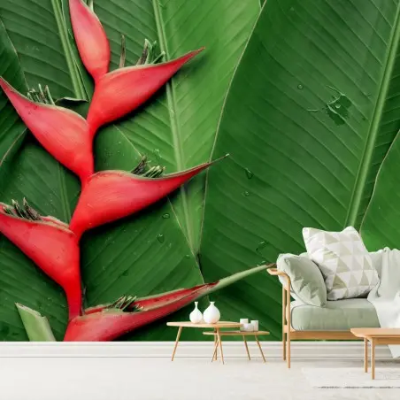 Fotomural heliconia roja sobre hojas tropicales