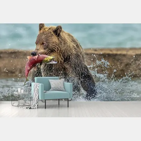 Fotomural oso pardo capturando salmón en plena acción – Pixers®