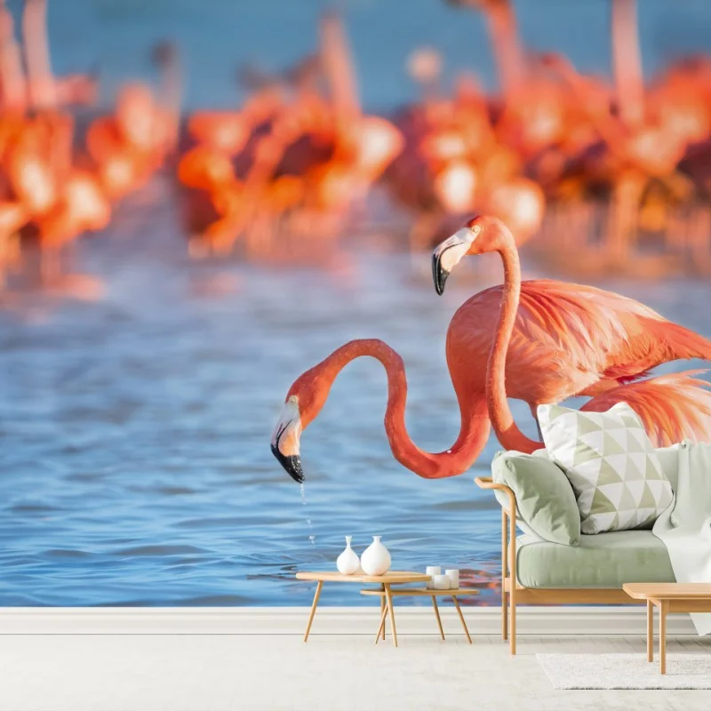 Fotomural flamencos en aguas serenas