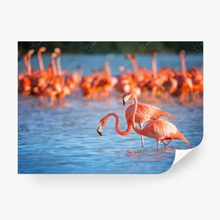 Fotomural flamencos en aguas serenas – Pixers®