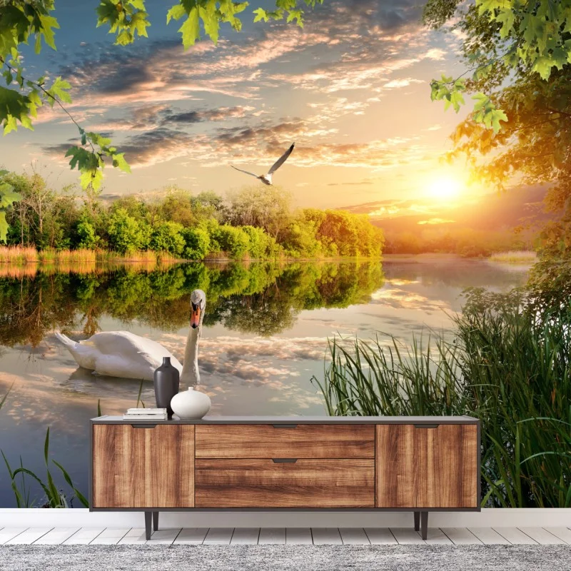 Fotomural atardecer sereno en el lago con cisne