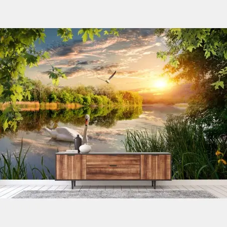 Fotomural atardecer sereno en el lago con cisne – Pixers®