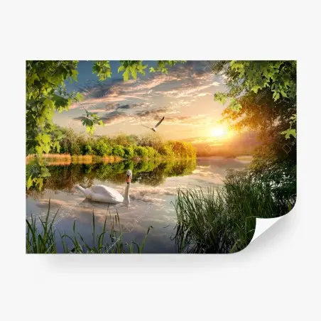 Fotomural atardecer sereno en el lago con cisne – Pixers®