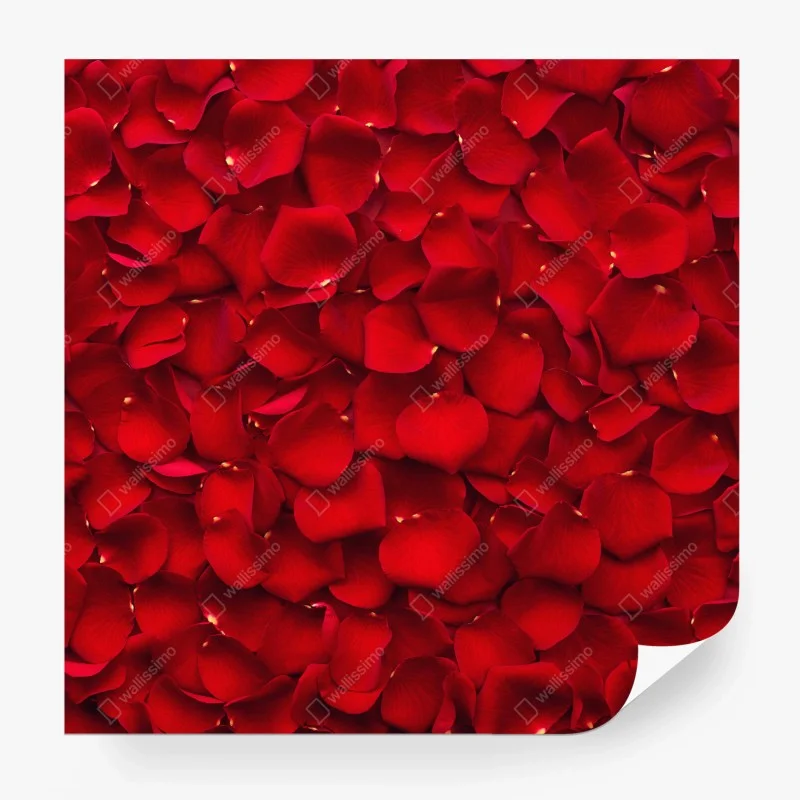 Fotomural arte decorativo de pétalos de rosa rojos