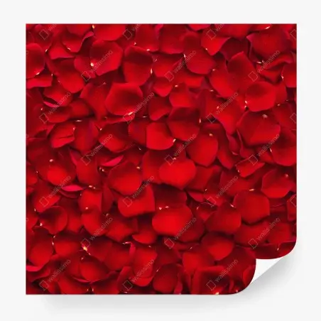 Fotomural arte decorativo de pétalos de rosa rojos – Pixers®
