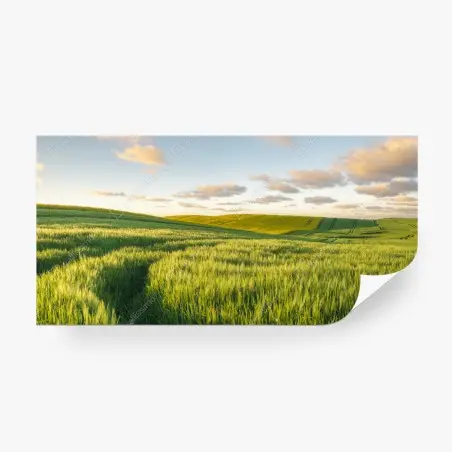 Fotomural panorama de campo primaveral en colinas verdes – Pixers®