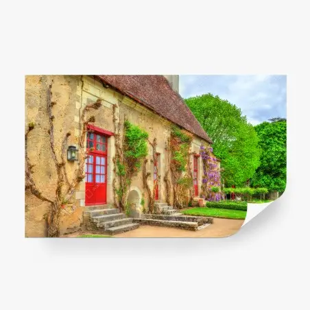 Fotomural fachada rústica con puertas rojas y glicinia – Pixers®
