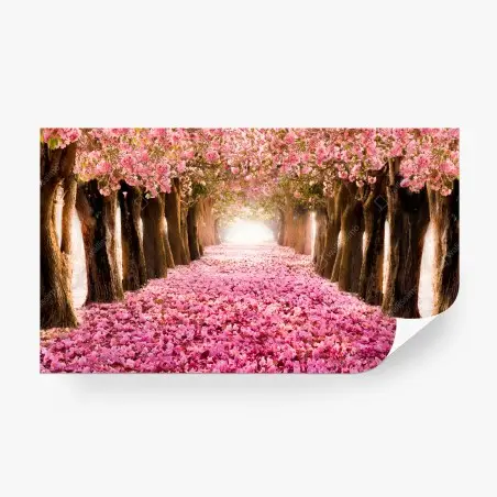 Fotomural túnel de cerezos en flor – Pixers®