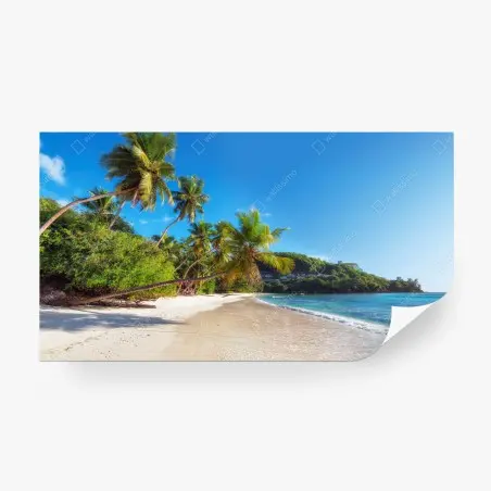 Fotomural playa tropical con palmeras y mar turquesa – Pixers®