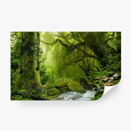 Fotomural remanso verde en bosque húmedo – Pixers®