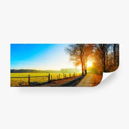 Fotomural camino rural al amanecer con luz dorada – Pixers®