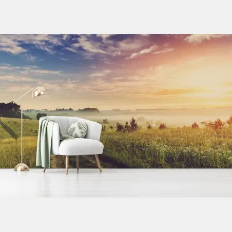 Fotomural amanecer brumoso en la pradera dorada – Pixers®