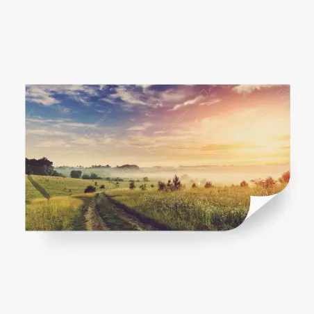 Fotomural amanecer brumoso en la pradera dorada – Pixers®