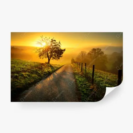 Fotomural amanecer dorado en la colina – Pixers®