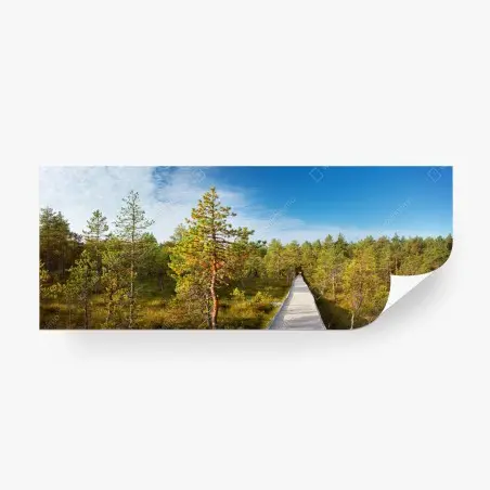 Fotomural sendero de madera entre pinos – Pixers®