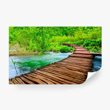 Fotomural sendero de madera sobre río esmeralda – Pixers®