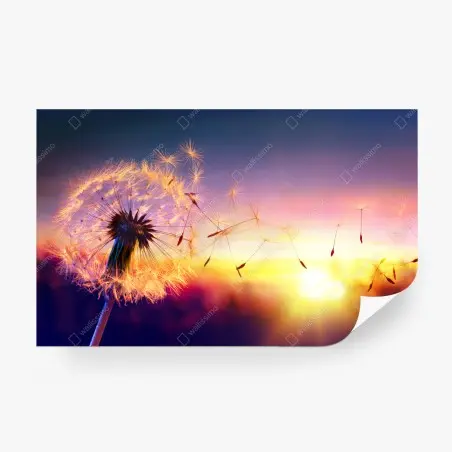 Fotomural diente de león al viento en atardecer dorado – Pixers®
