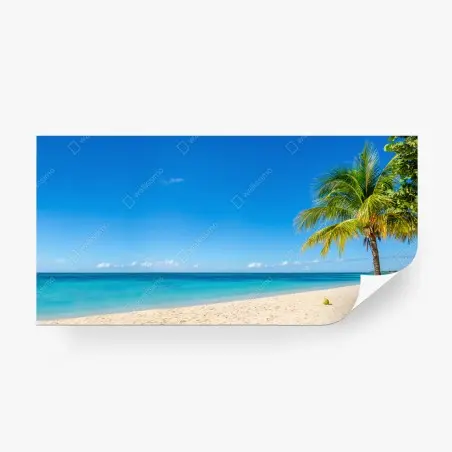 Fotomural paisaje de playa tropical con palmera – Pixers®