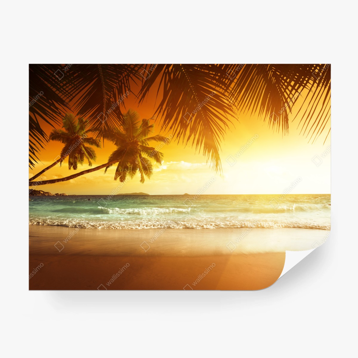Fotomural atardecer caribeño en la playa – Pixers®