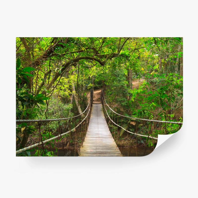 Fotomural pasarela de madera en bosque frondoso