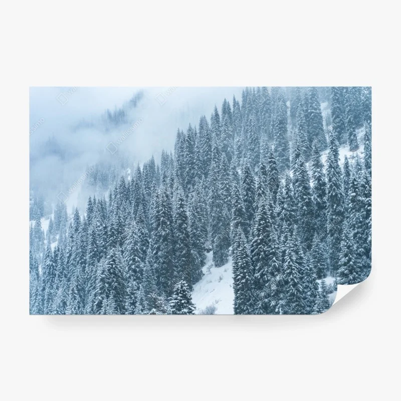 Fotomural bosque de pinos nevados en montaña neblinosa