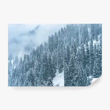 Fotomural bosque de pinos nevados en montaña neblinosa – Pixers®