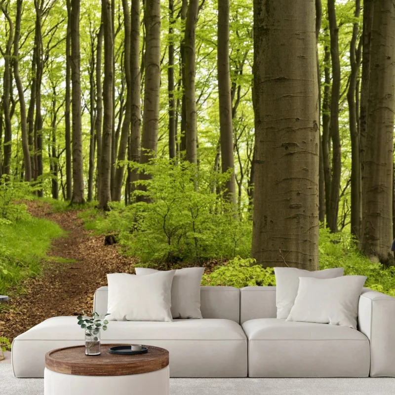 Fotomural sendero en el bosque de hayas