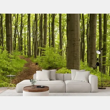 Fotomural sendero en el bosque de hayas – Pixers®