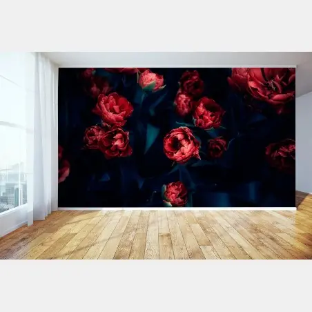 Fotomural tulipanes rojos en contraste nocturno – Pixers®