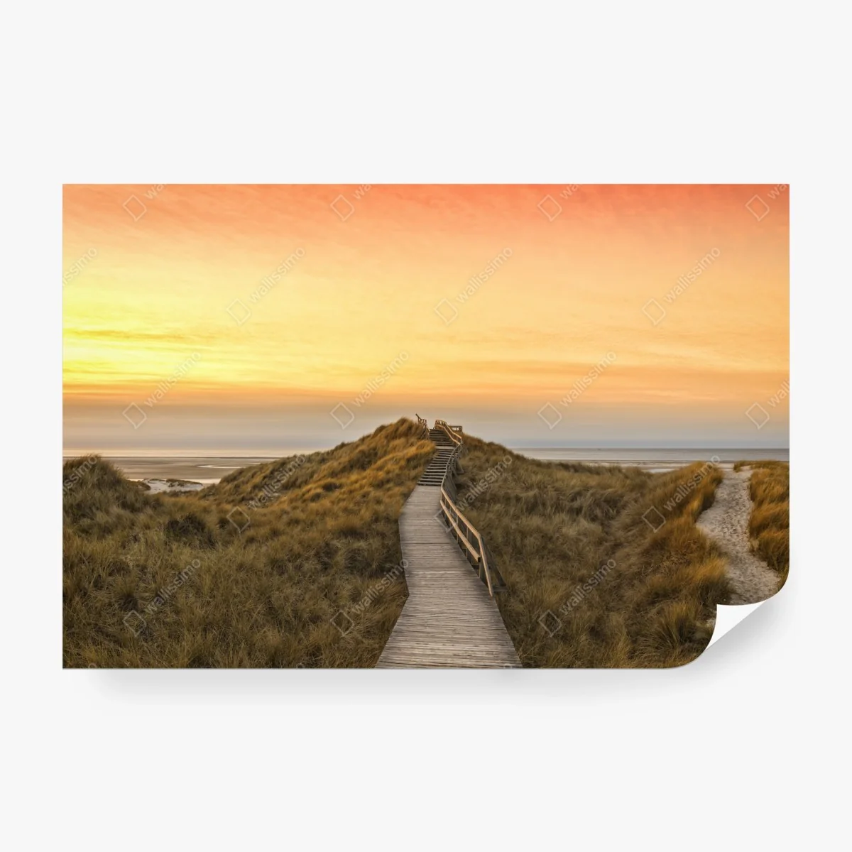 Fotomural sendero de madera hacia la playa de Norddorf en Amrum al atardecer – Pixers®