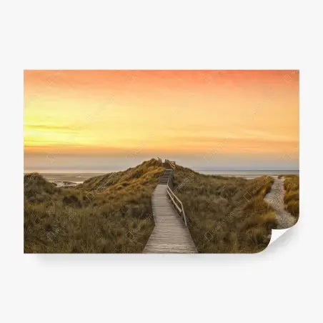 Fotomural sendero de madera hacia la playa de Norddorf en Amrum al atardecer – Pixers®