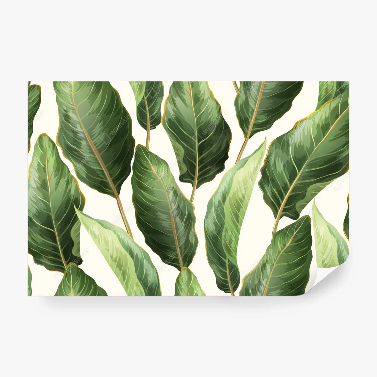 Fotomural fondo de hojas tropicales en tonos verdes – Pixers® Fotomural fondo de hojas tropicales en tonos verdes – Pixers®