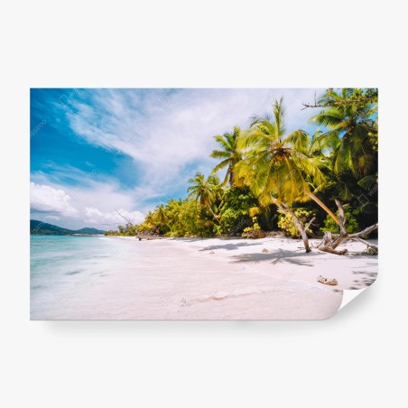 Fotomural playa tropical con palmeras y arena blanca – Pixers®