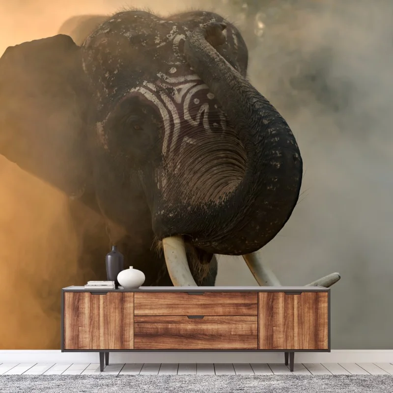 Fotomural elefante de Surin en la niebla dorada