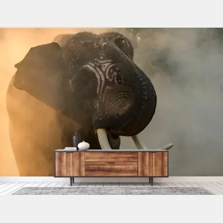 Fotomural elefante de Surin en la niebla dorada – Pixers®