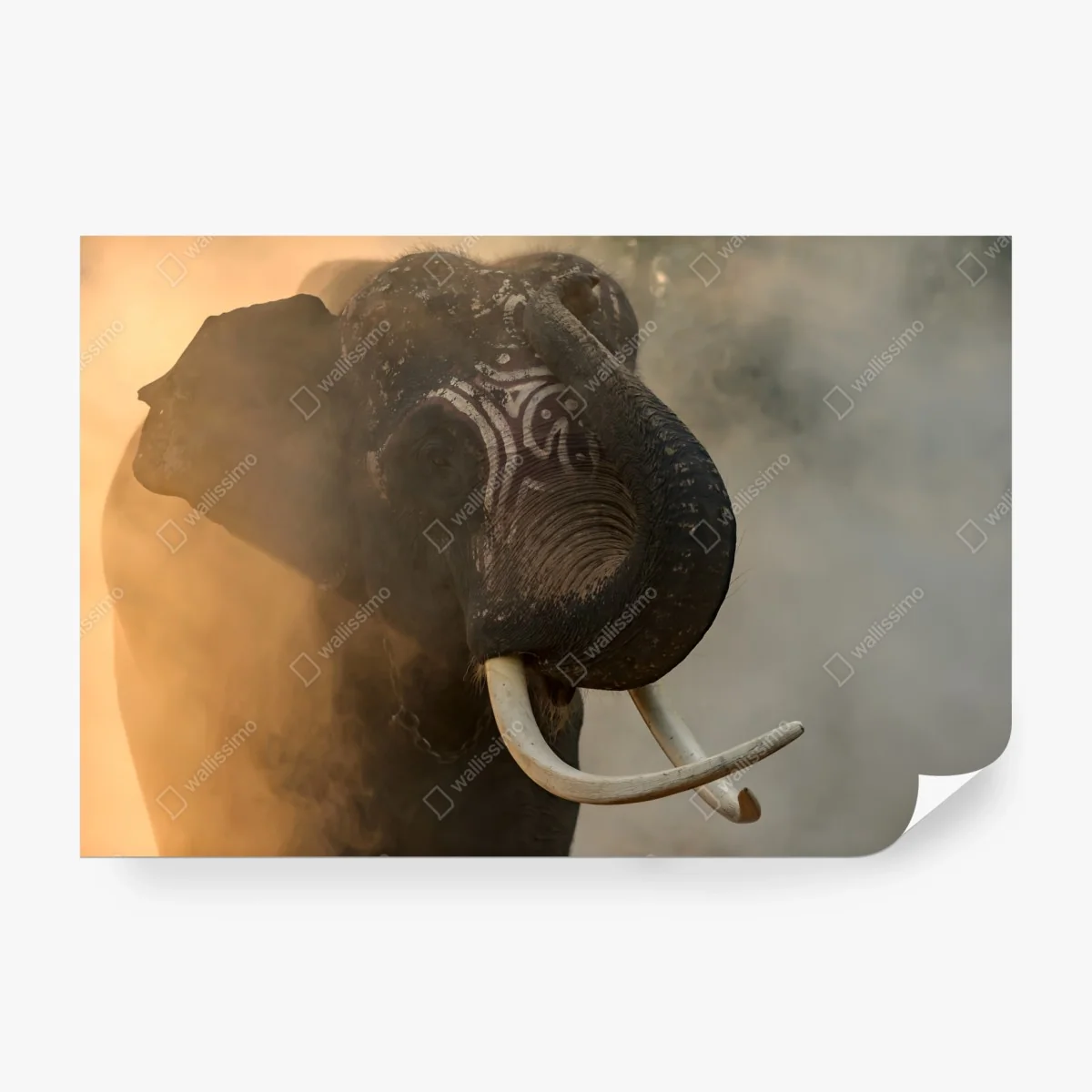 Fotomural elefante de Surin en la niebla dorada – Pixers® Fotomural elefante de Surin en la niebla dorada – Pixers®