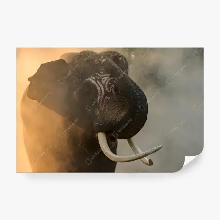 Fotomural elefante de Surin en la niebla dorada – Pixers®
