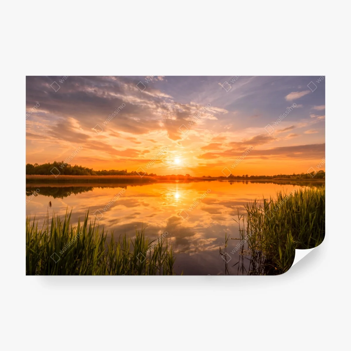 Fotomural puesta de sol dorada sobre el lago – Pixers®