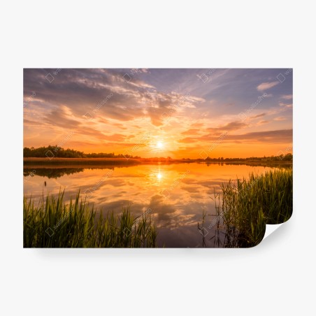 Fotomural puesta de sol dorada sobre el lago – Pixers®