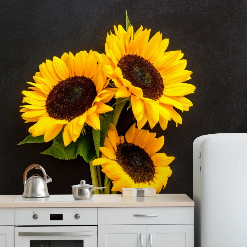 Fotomural girasoles sobre fondo negro